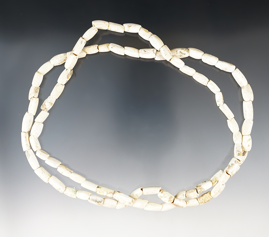 34" Strand of ancient shell beads found in Tennessee.