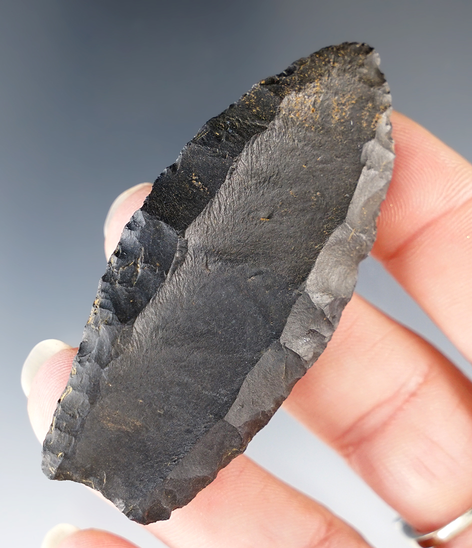 2 9/16" Fluted Paleo Northumberland, black Jasper, P.A .