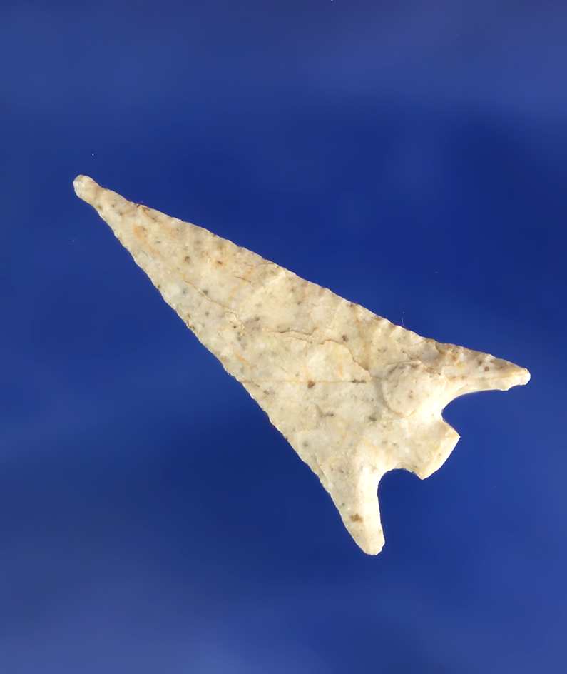 1 1/4" Dolores point found in Arizona.