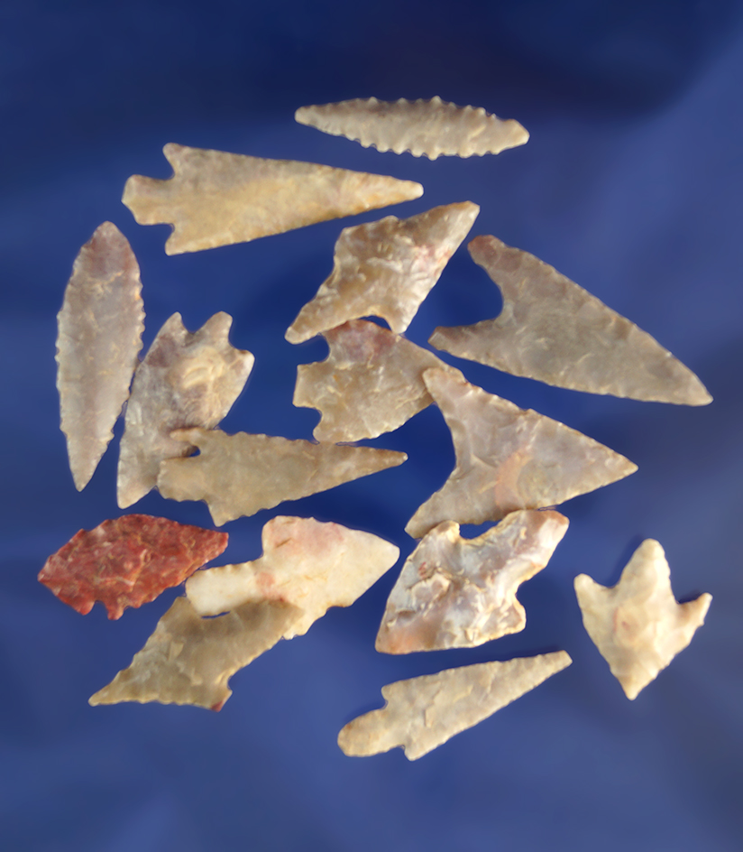 Set of 15 assorted Neolithic arrowheads found in northern Sahara desert region of Africa. Largest is