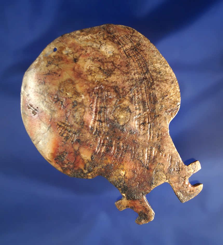 Sale highlight! Very rare style 4 3/16" abalone shell "Banjo Pendant"- Columbia River.