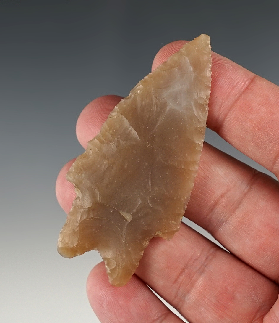 Semi-Translucent 2 7/8" Pedernales - Williamson Co., Texas. Ex. Hughes collection. Arnold COA.