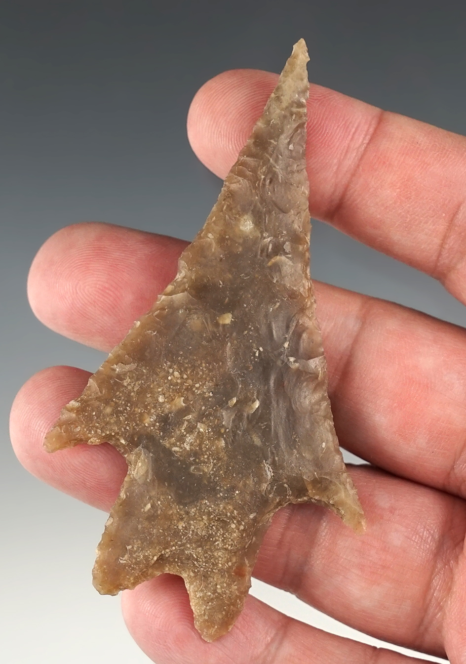 Nice 3 9/16" Pedernales with long delicate shoulders.  Edwards Co., Texas. Rogers COA.