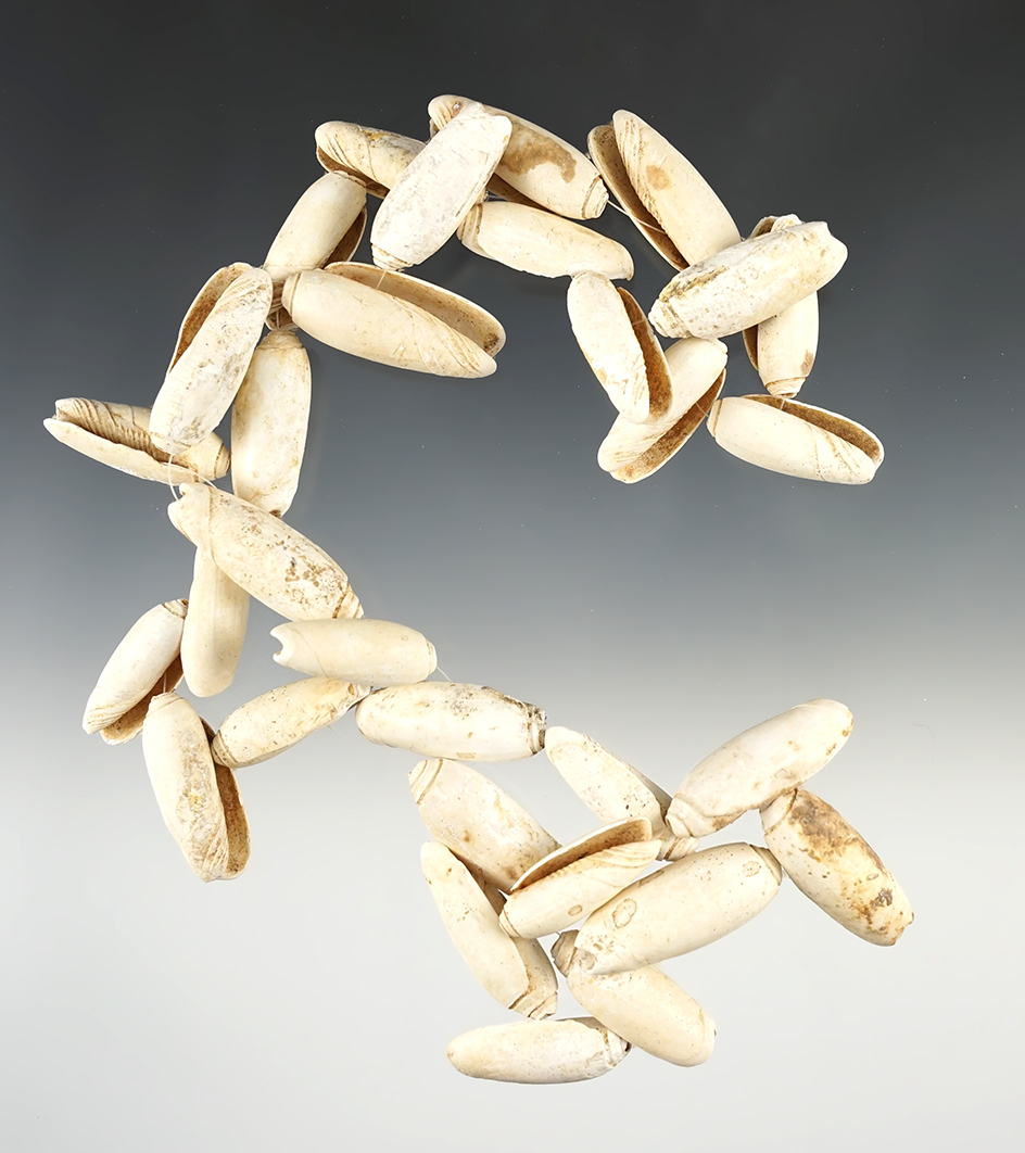 Nice 26" Strand of Drilled Shell Beads in great condition.