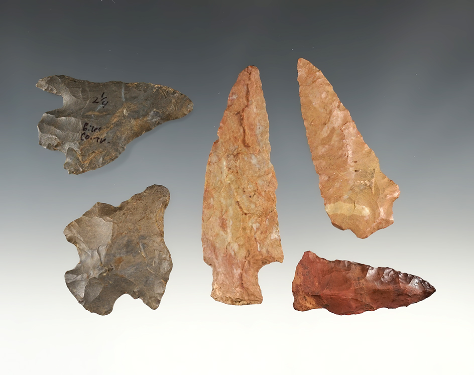 Set of 5 Tennessee points in good condition. The largest is 3 3/8".