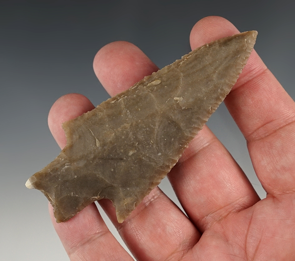 Exceptional 3 11/16" Pedernales found in Williamson Co., Texas at the 4T Ranch. Rogers COA.