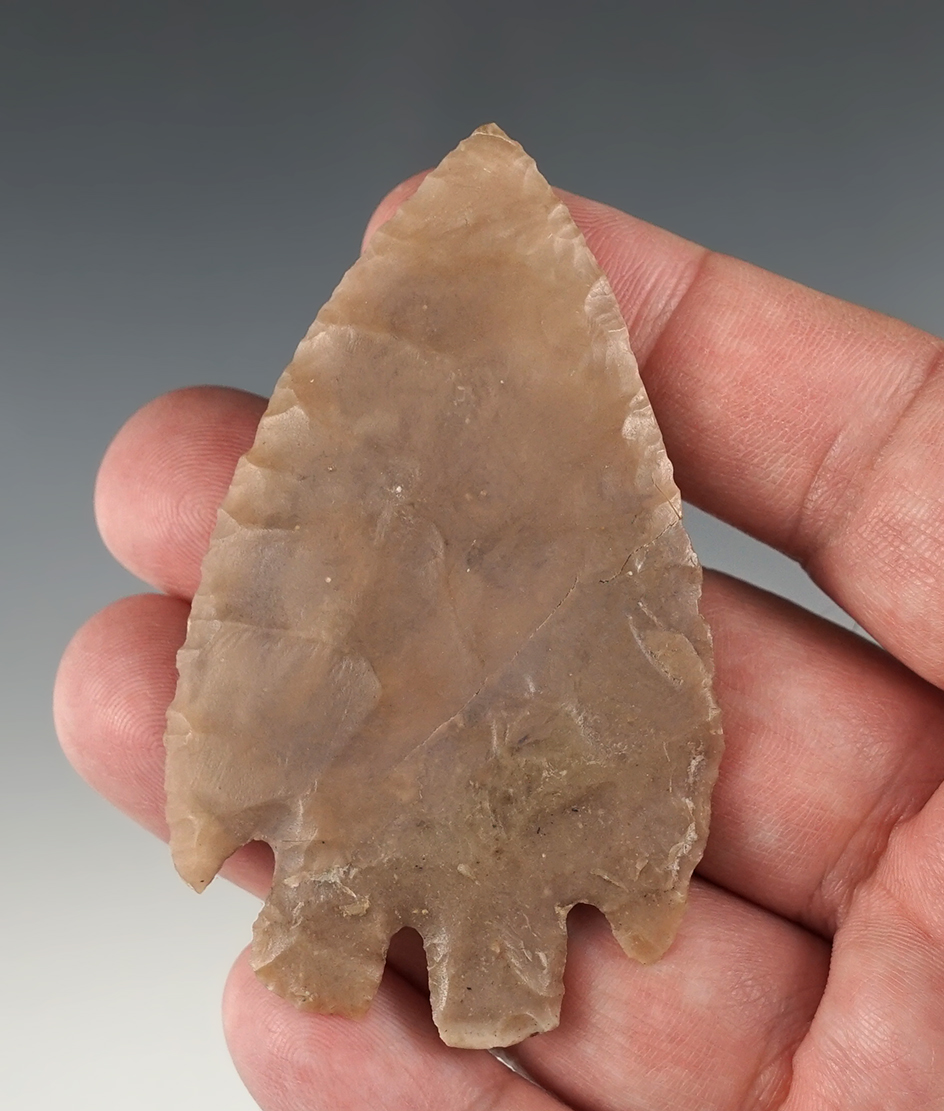 Heavily restored 3" Texas Montell. Both base barbs and one shoulder are original.