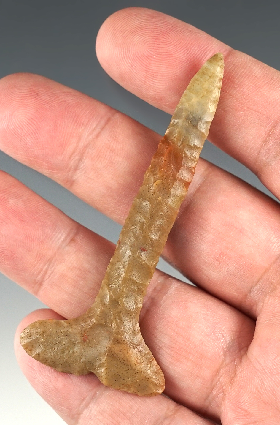 2 7/8" Carter Cave "T" Drill. Nice colors of caramel and tans. Found in southern Ohio.