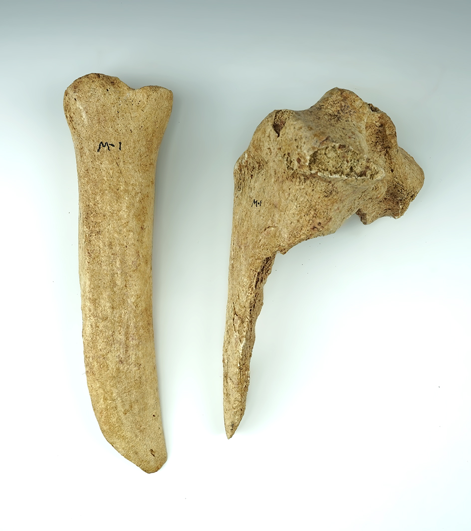 Pair of large Mandan Buffalo Bone Tools. The largest is 9 3/4".
