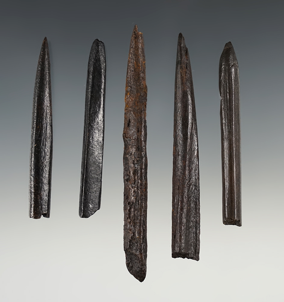 Set of 5 heavily patinated Florida Bone points. The largest is 4".
