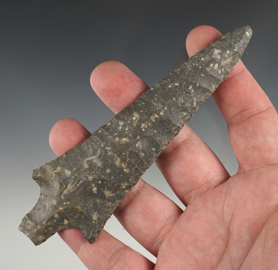 Superb! 5 3/8" Dickson found in Southern Missouri. Large example and well made. Motley COA.