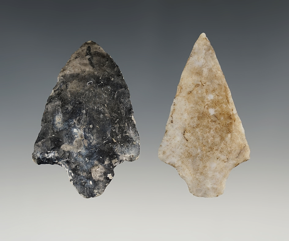 Pair of points found in Pasco Co., Florida. Both are in good condition. The largest is 2 5/8".