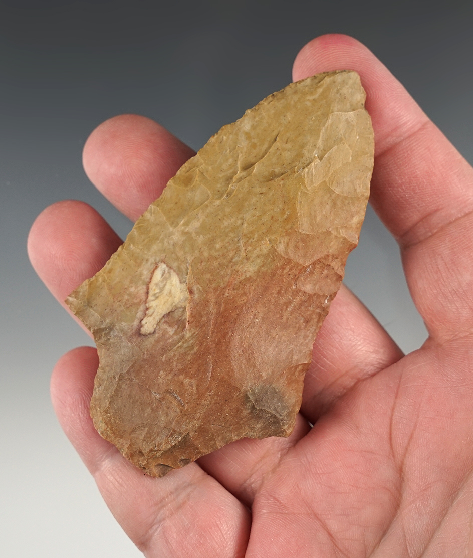 Well made 3 5/8" Pickwick found in Stewart Co., Tennessee.