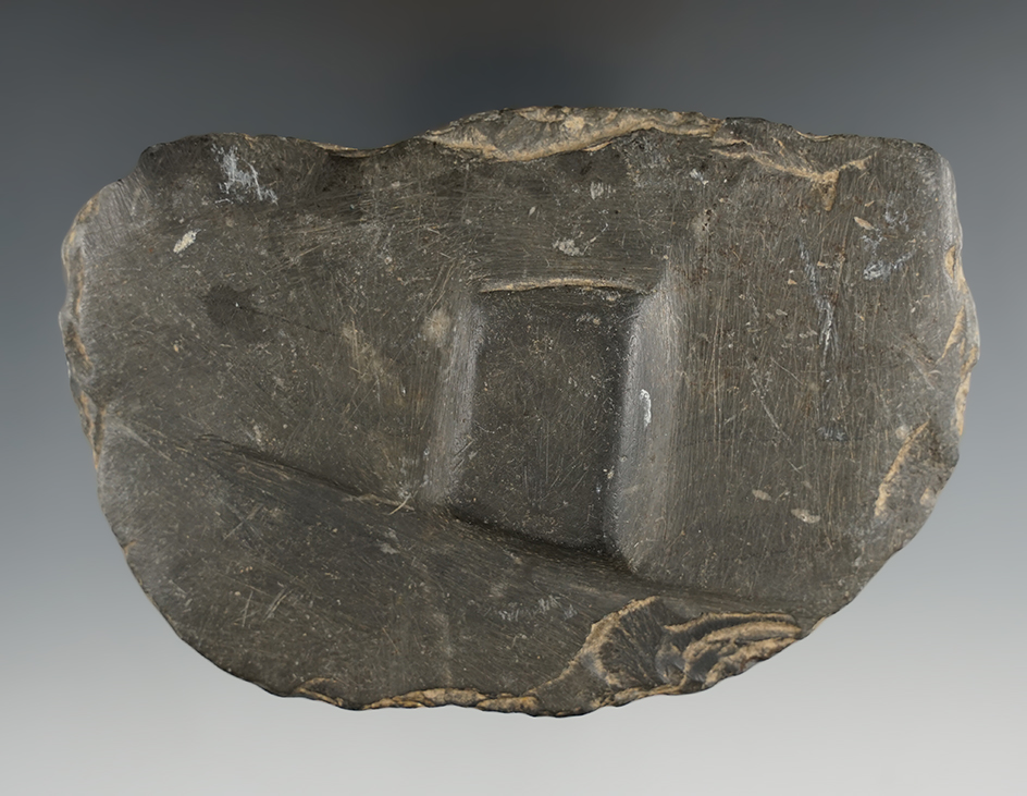 4 3/4" Butterfly Banner Preform. Looks as though prehistoric man turned it into an abrading stone.