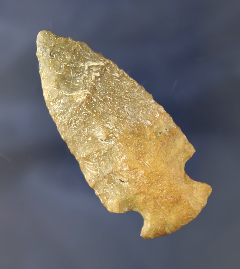 2 5/16" nicely made  Cornernotch found near the Santa Fe River, Alachua Co., Florida.