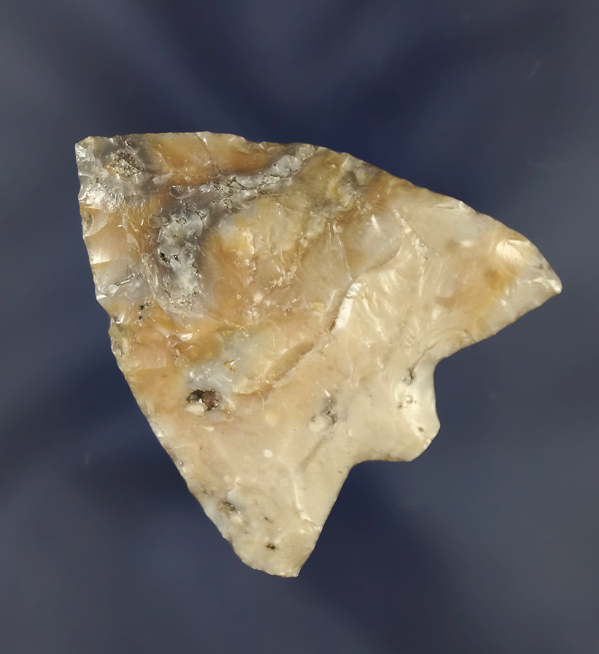 2 3/4" Hillsborough point made from beautiful heat-treated agatized coral found in Pasco Co.,  FL.