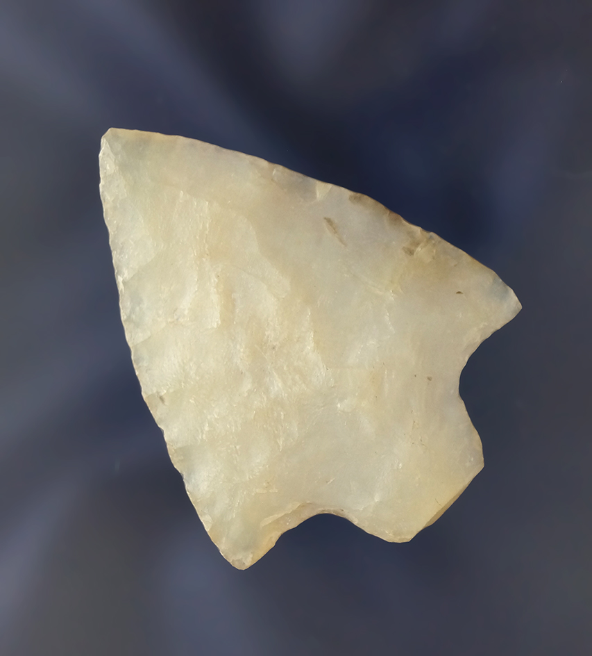 1 15/16" nicely translucent Marion found in Pasco Co.,  Florida.