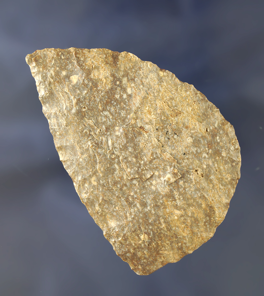 Thin and excellent flaking on this 2 11/16" Flint Blade  found in Blount Co.,  Alabama.