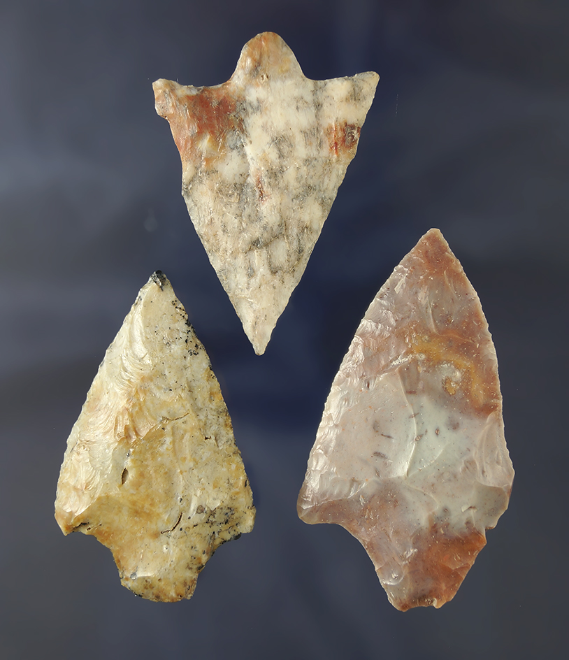 Set of three Florida arrowheads found in Manitee and Pasco Co.,  Florida, largest is 2 1/2".