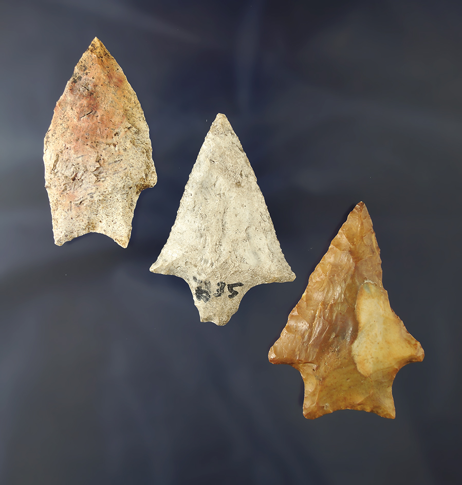 Set of three arrowheads, largest is 2 9/16" found near the Santa Fe River, Alachua Co., Florida.