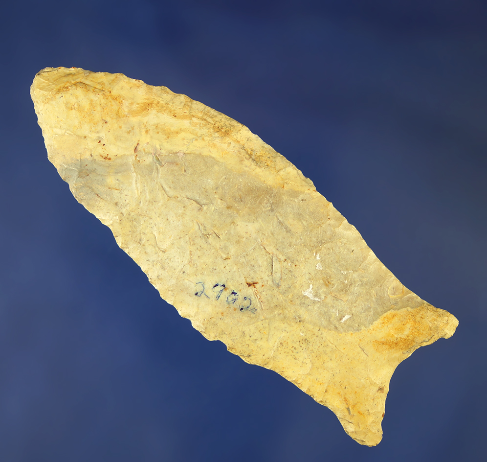 Nice 3 5/8" Holland that is very well flaked with a heavily ground stem. Illinois area.