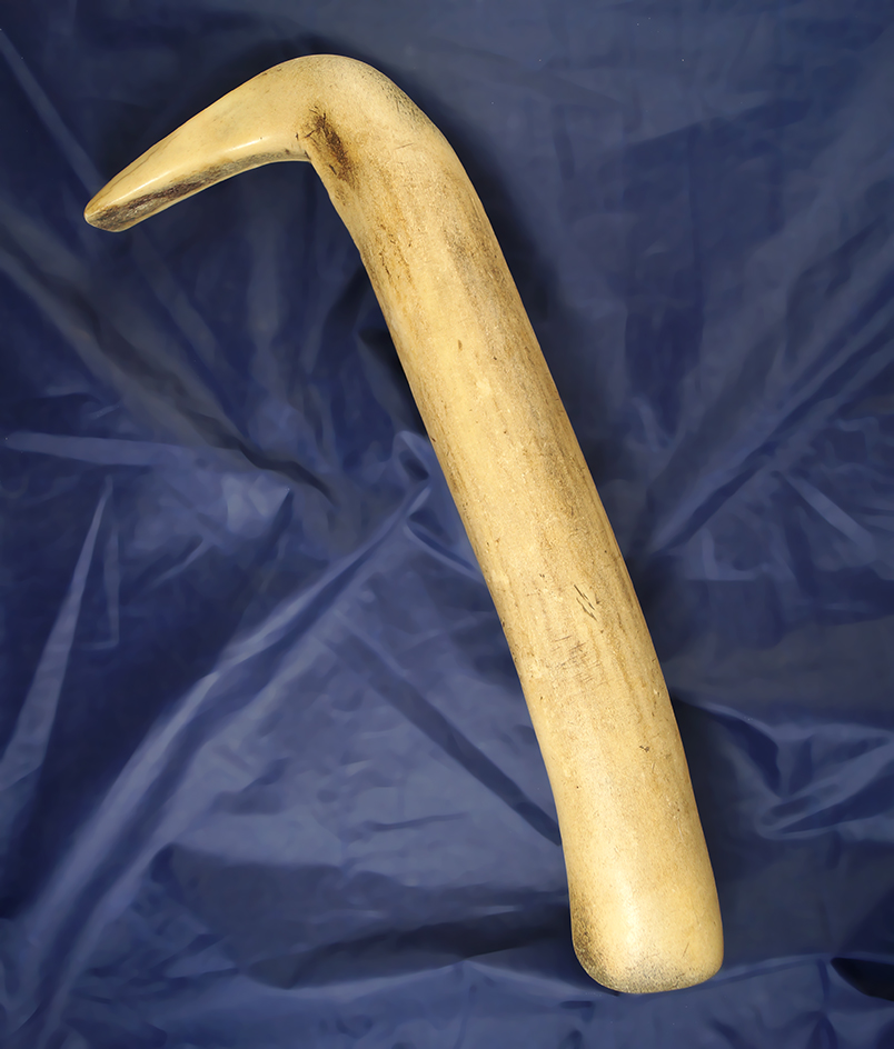 Large 13 3/16" well polished and heavily used Plains hide scraper made of elk antler.