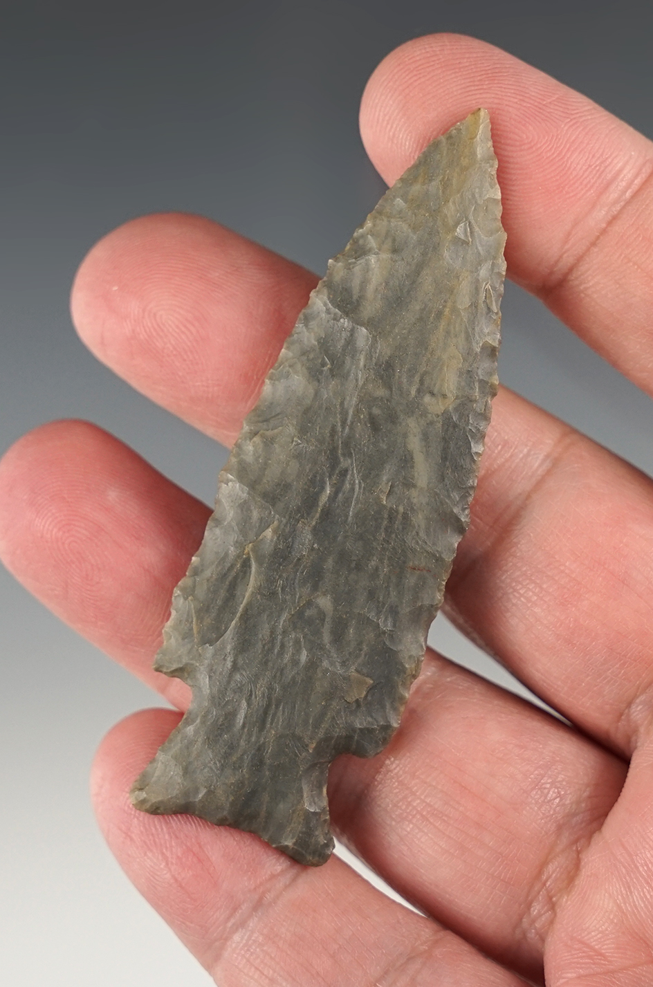 Well made 2 15/16" Bakers Creek found in Trigg Co., Kentucky. Ex. Red Tully collection.