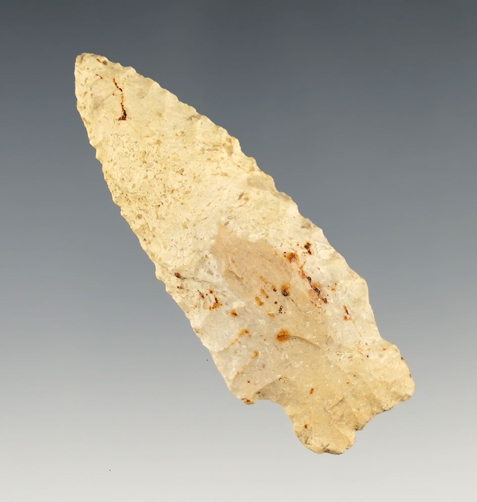 Classic 2 9/16" Heavy Duty point found in Kentucky.