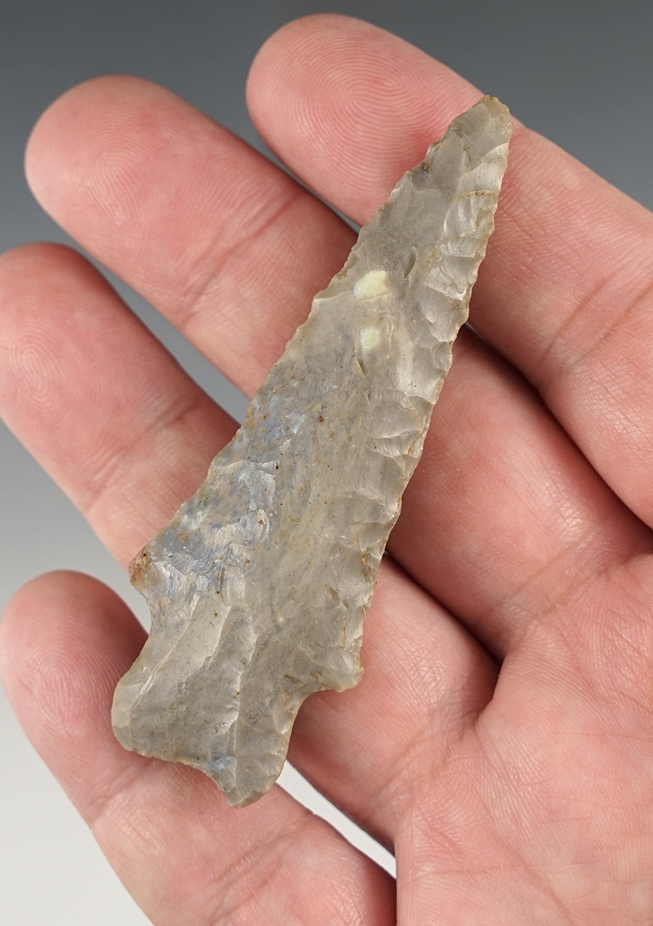 Great form on this 3" Heavy Duty found in Kentucky. Comes with a Jackson COA.