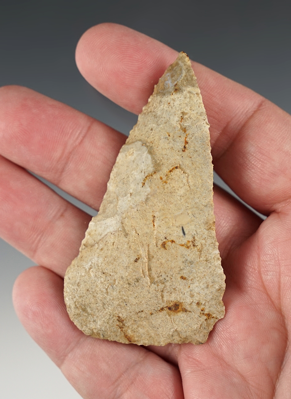 Patinated 2 15/16" Beveled Cobbs found in Fayette Co., Kentucky.