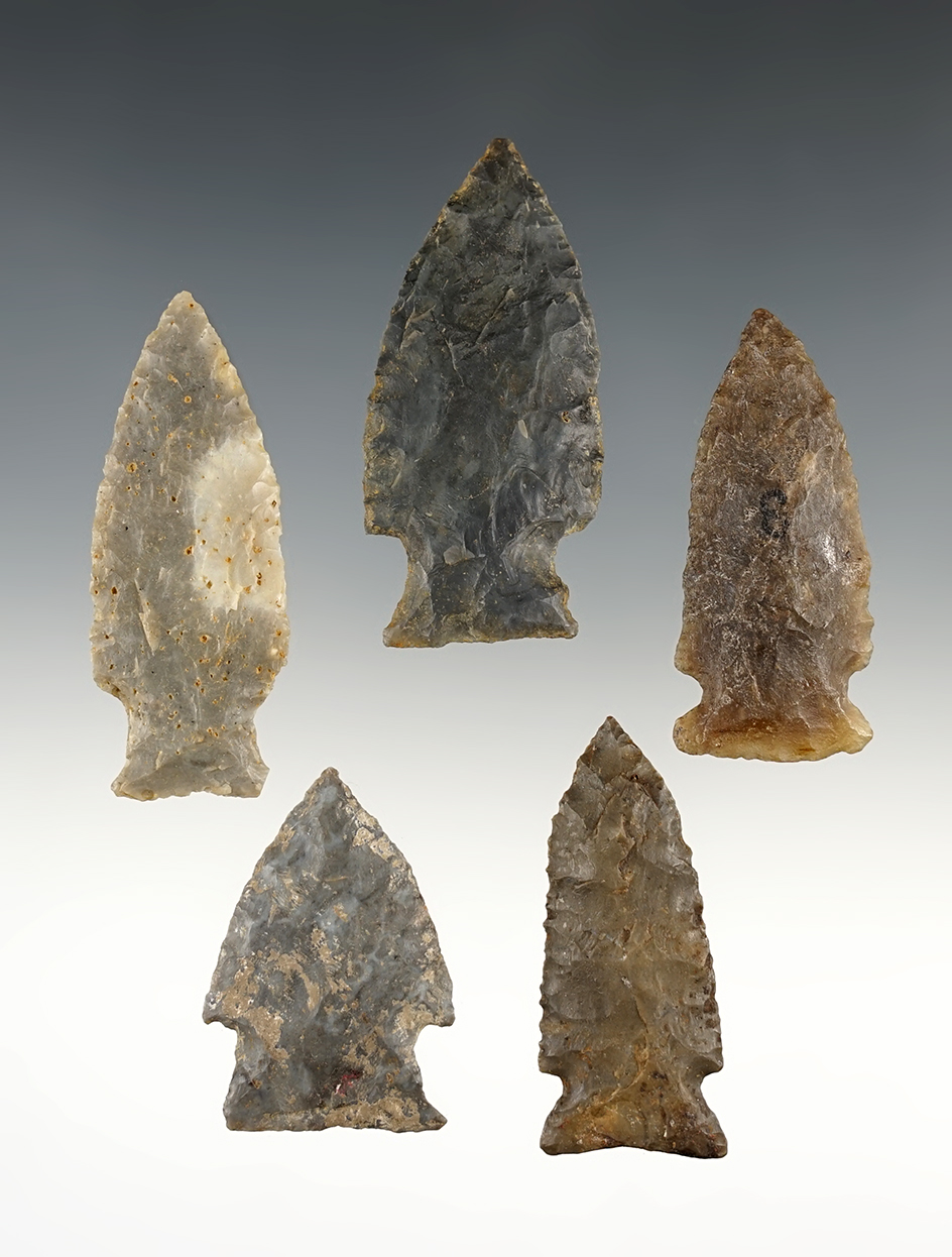 Set of 5 well made points found in Tennessee/Kentucky. The largest is 2 5/16".