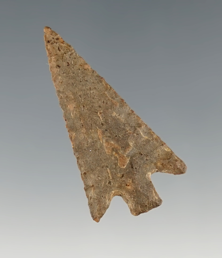 Fine 1 7/16" Columbia Plateau found by Raleigh Mason near the Tri Cities area, Washington.