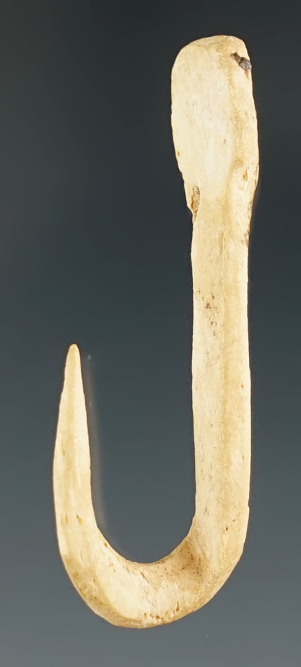 1 5/8" bone fishhook found in a rock shelter in Kentucky.  Ex. Henry English Collection.