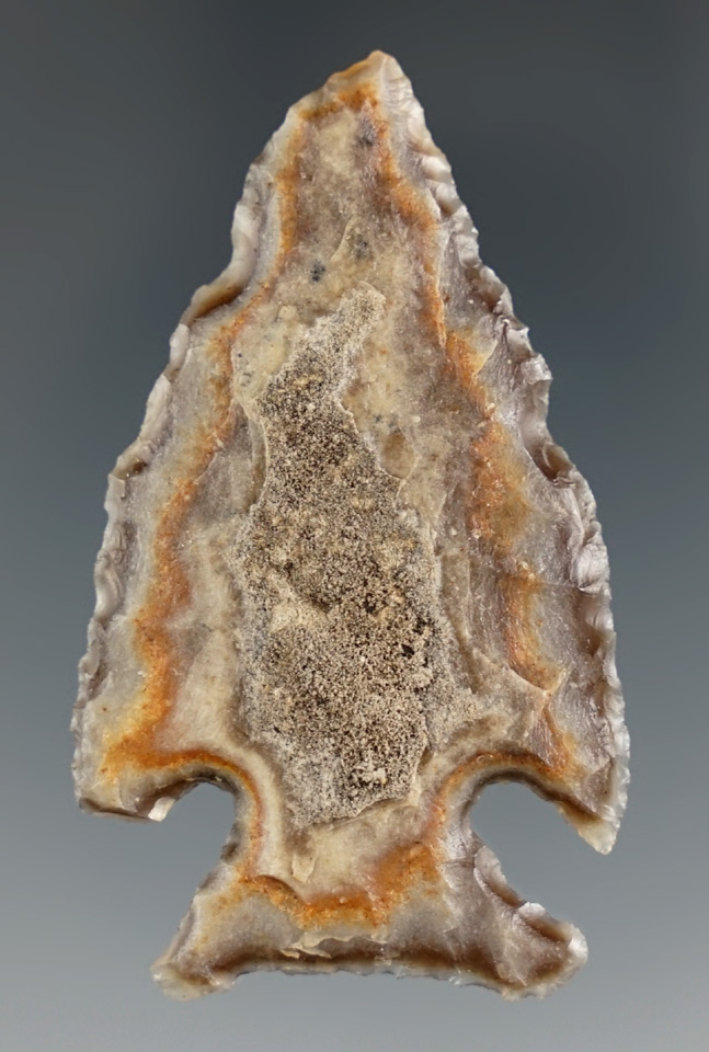 2 1/16" Elko Eared Found by Roy Mudge in the Black Rock Desert in Nevada.Stermer COA.