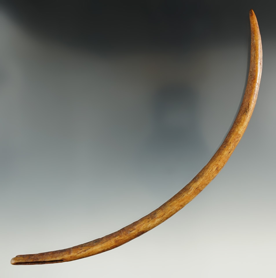 8 1/2" heavily patinated Inuit bone net weaving needle found in Alaska.