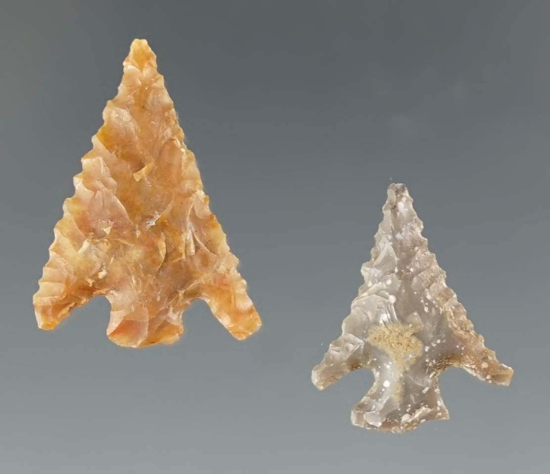 Pair of Columbia Plateau points found near the Clearwater River, Idaho. Largest is 7/8".