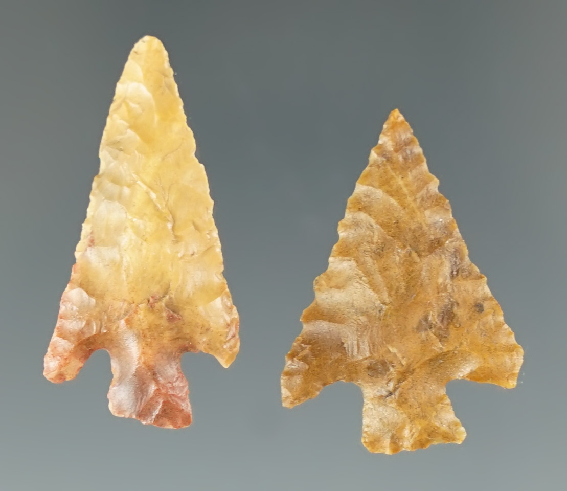 Pair of Columbia Plateau points in very nice condition - Clearwater River, Idaho. -