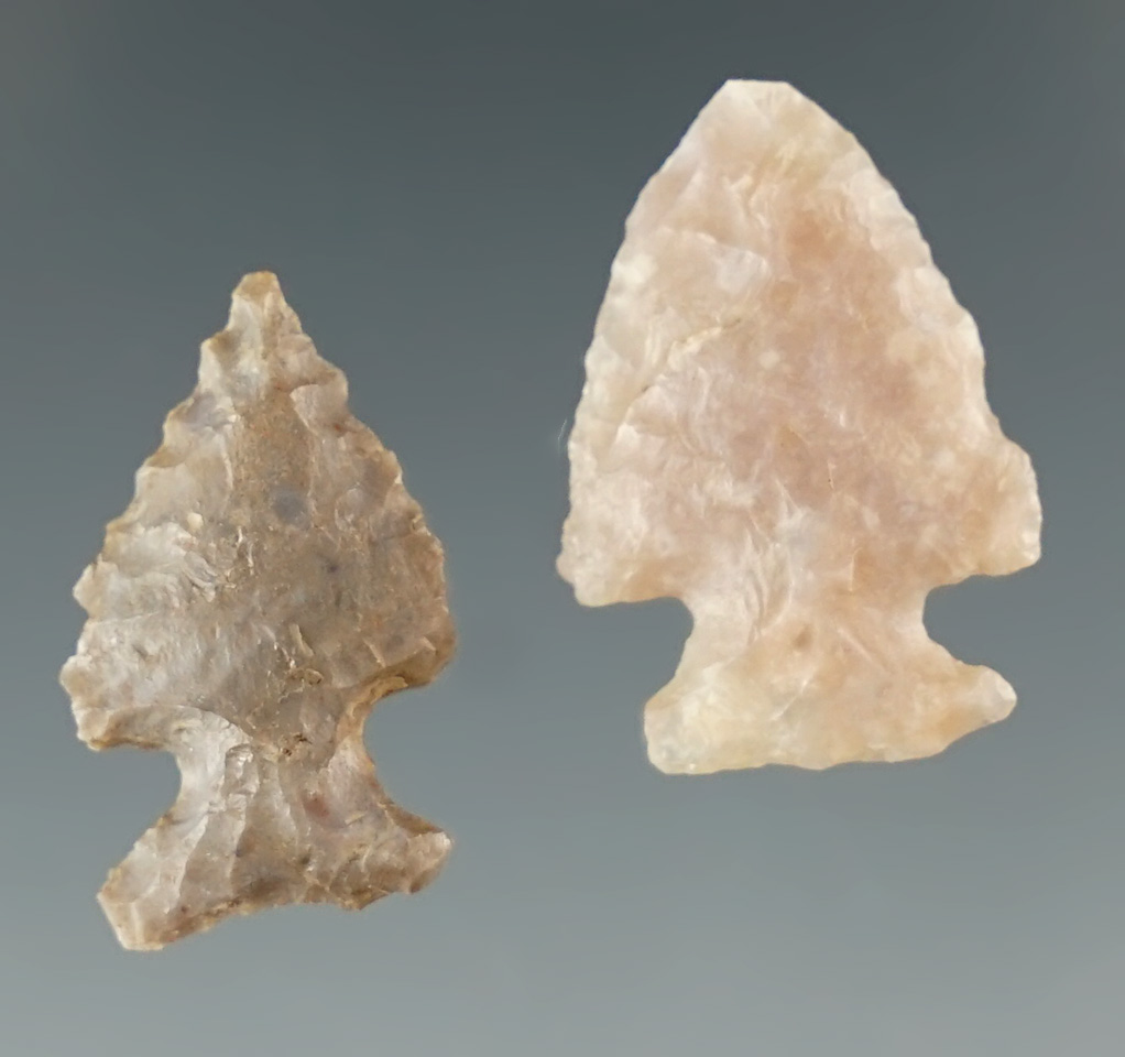 Pair of Colorado arrowheads in nice condition - largest is 7/8".