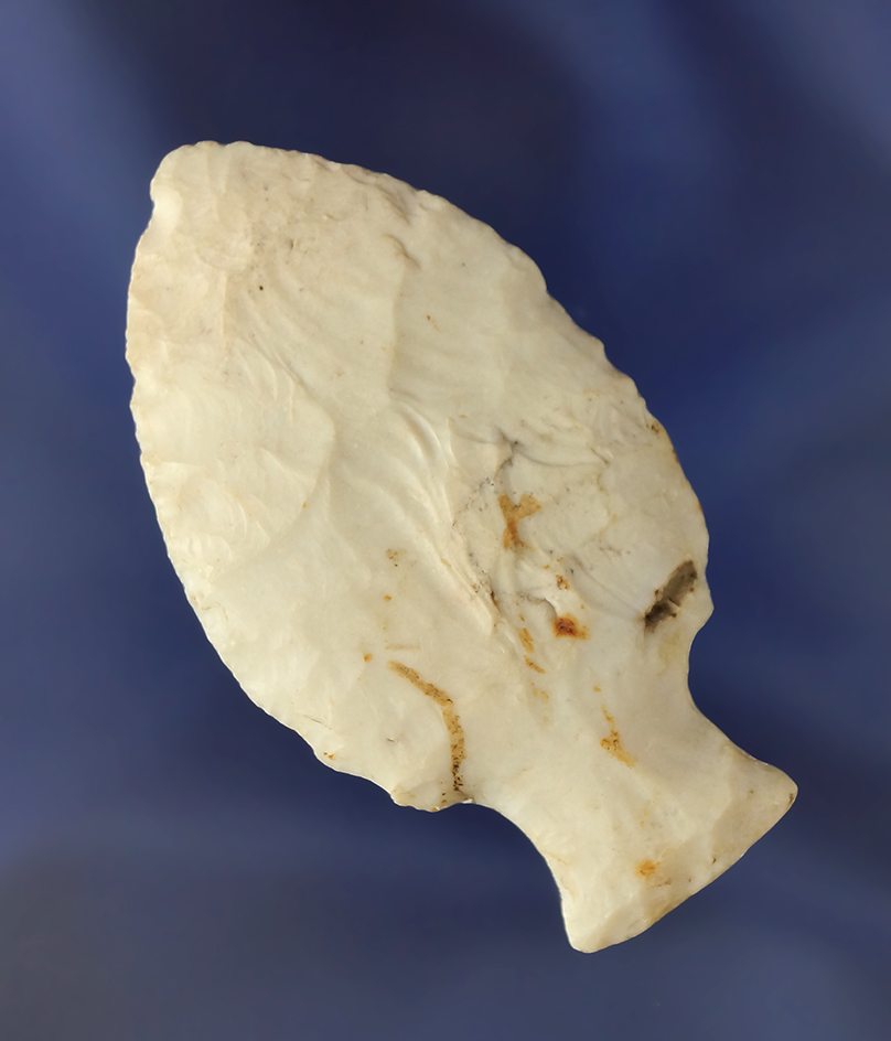 2 1/2" Burlington Flint Tablerock - Missouri - nice mineral deposits on surface. Bennett COA.