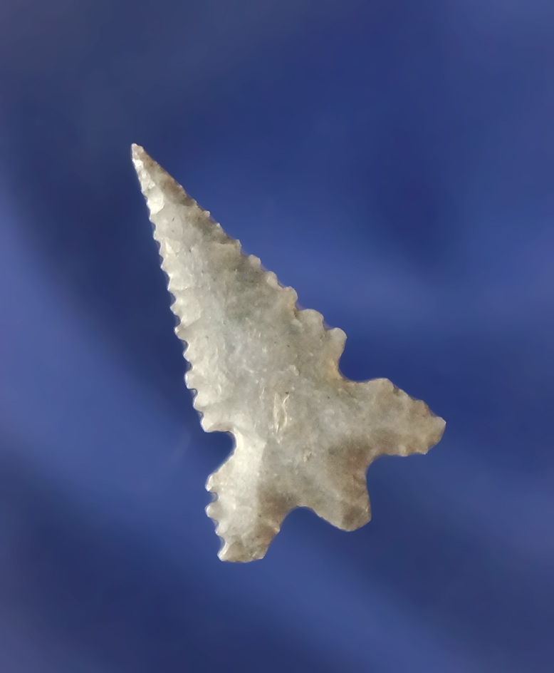 7/8" Bassett variant with extra sidenotch is that is exceptionally well flaked.  Perino COA.