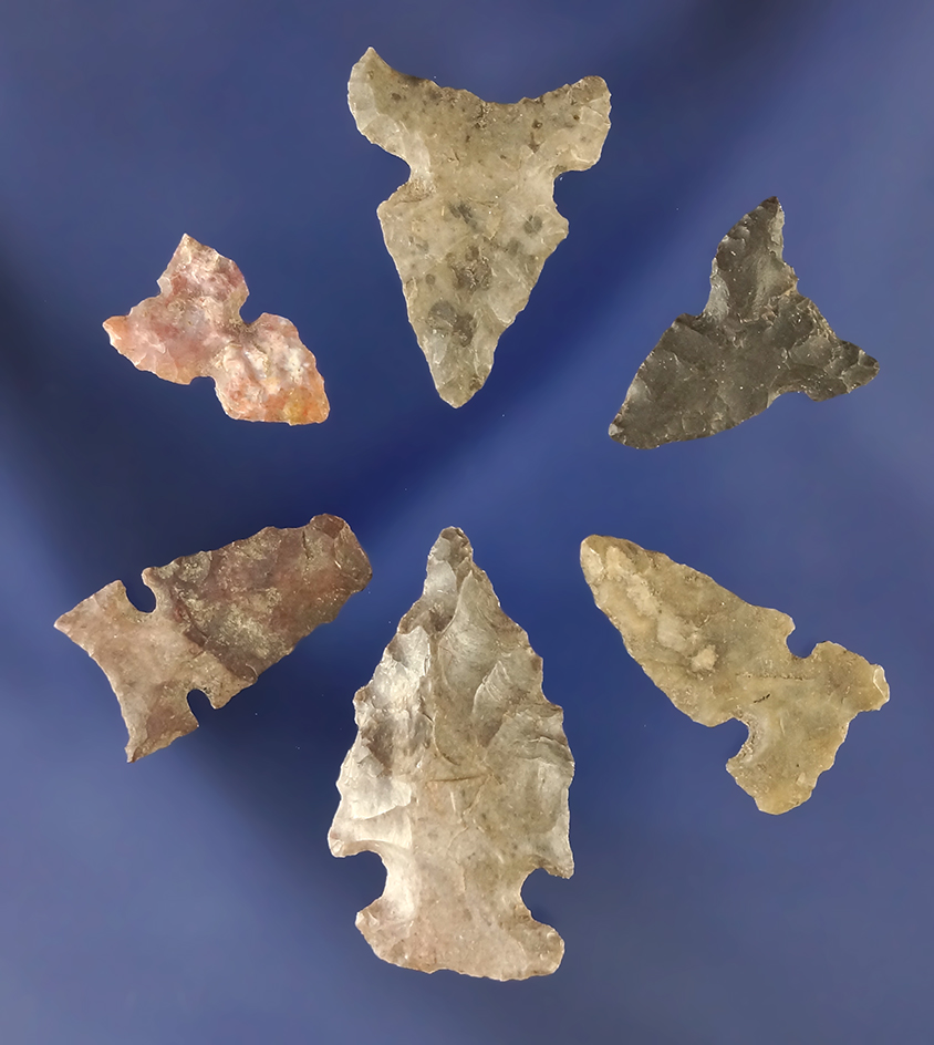 Set of six assorted arrowheads and Bird Points, largest is 1 3/16". All found in Eddy Co.,  NM.