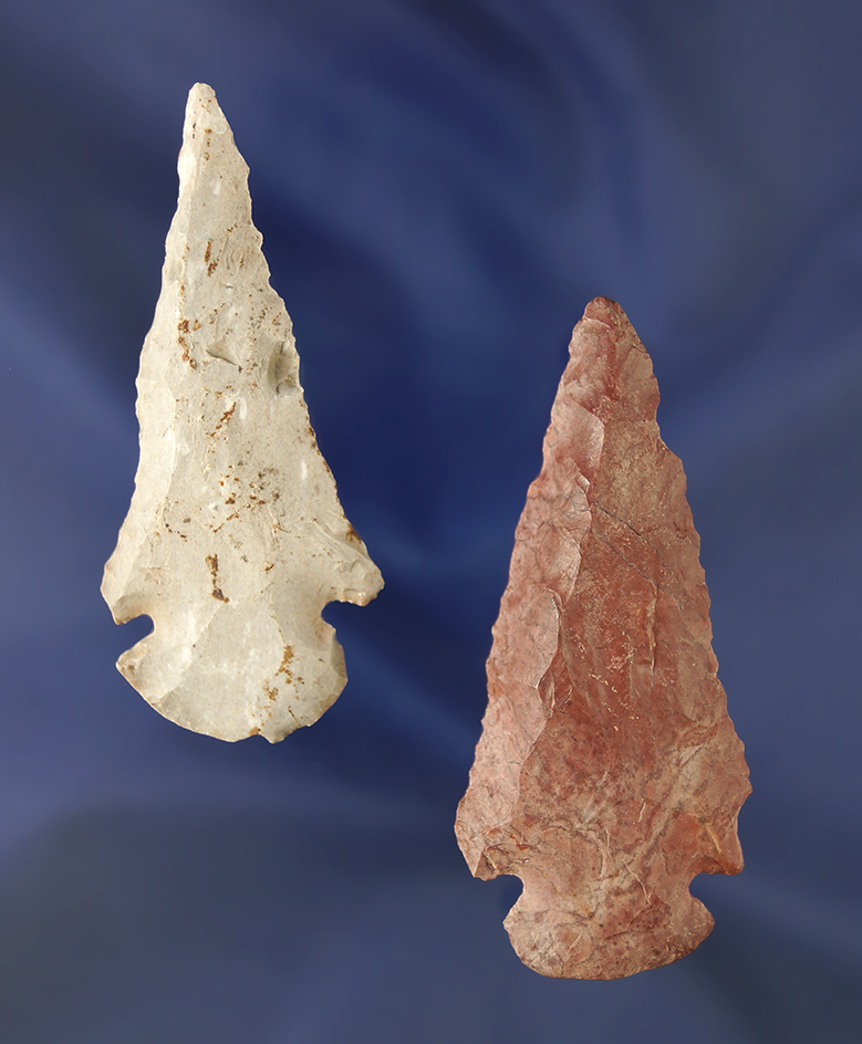 Nice pair of beveled Dovetail's found in Tennessee, largest is 2 3/4".