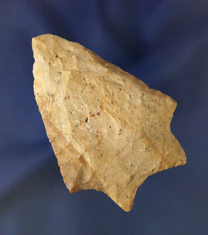 2 3/4" Savannah River that is well patinated found in Florida.