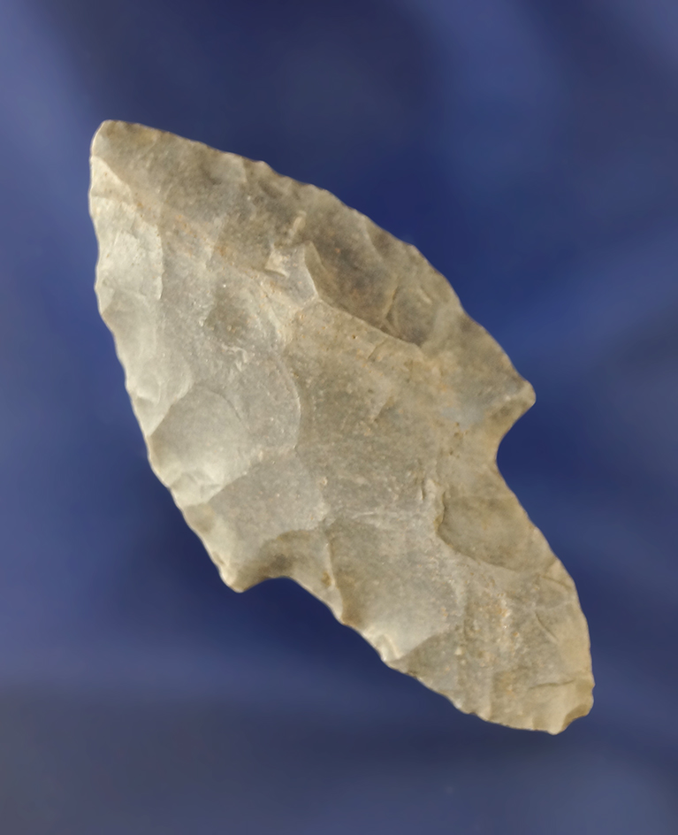 2 7/16" Waubessa found in Alabama with an ancient impact fracture to one side of tip.