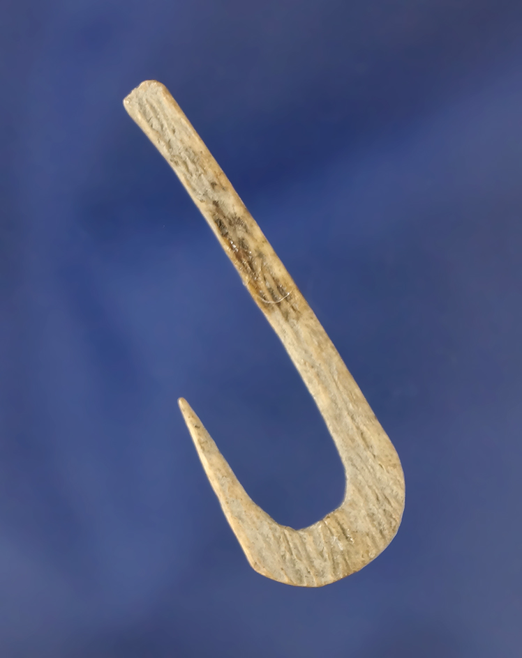 1 5/8" bone fishhook that is well styled in excellent condition. Pictured in artifacts volume 10, #4