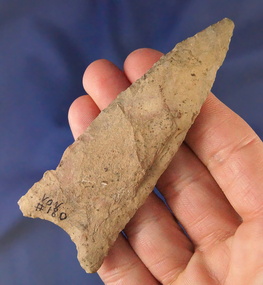 3 1/2" Dalton point found in Alexander Co.,  Illinois.  Dickey COA.