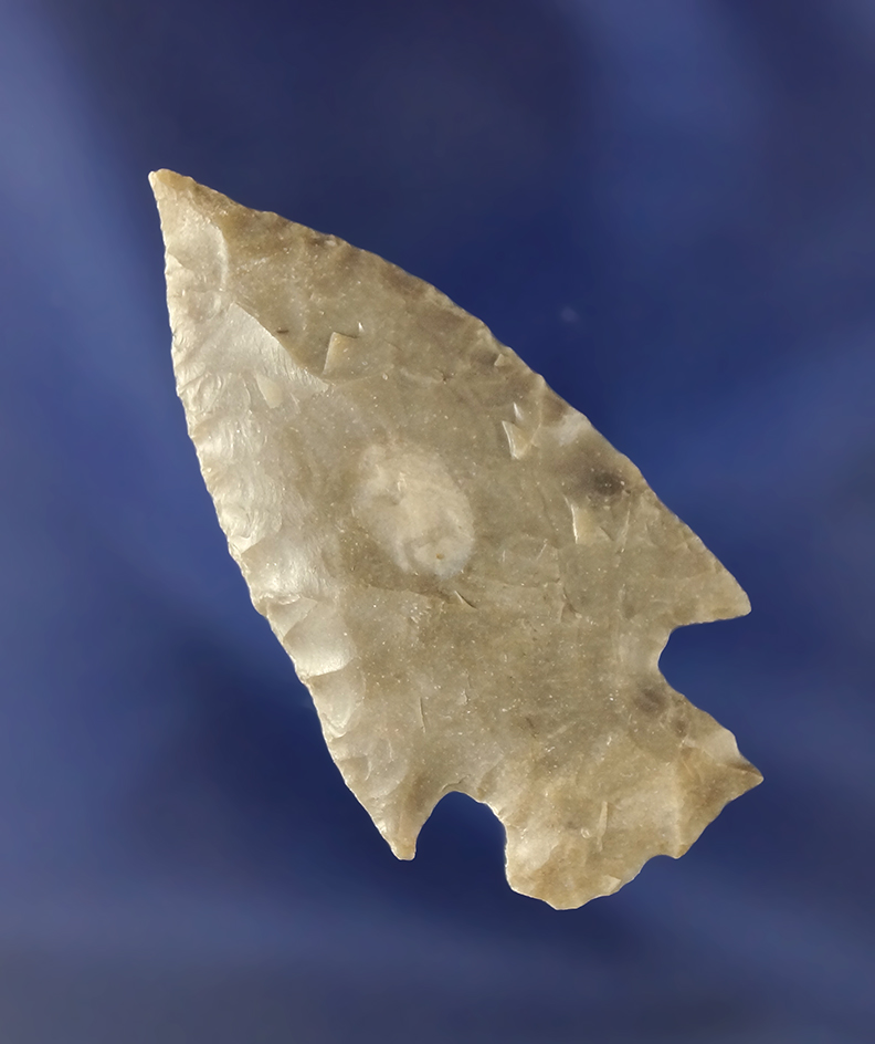 2" Castroville point found in Texas.