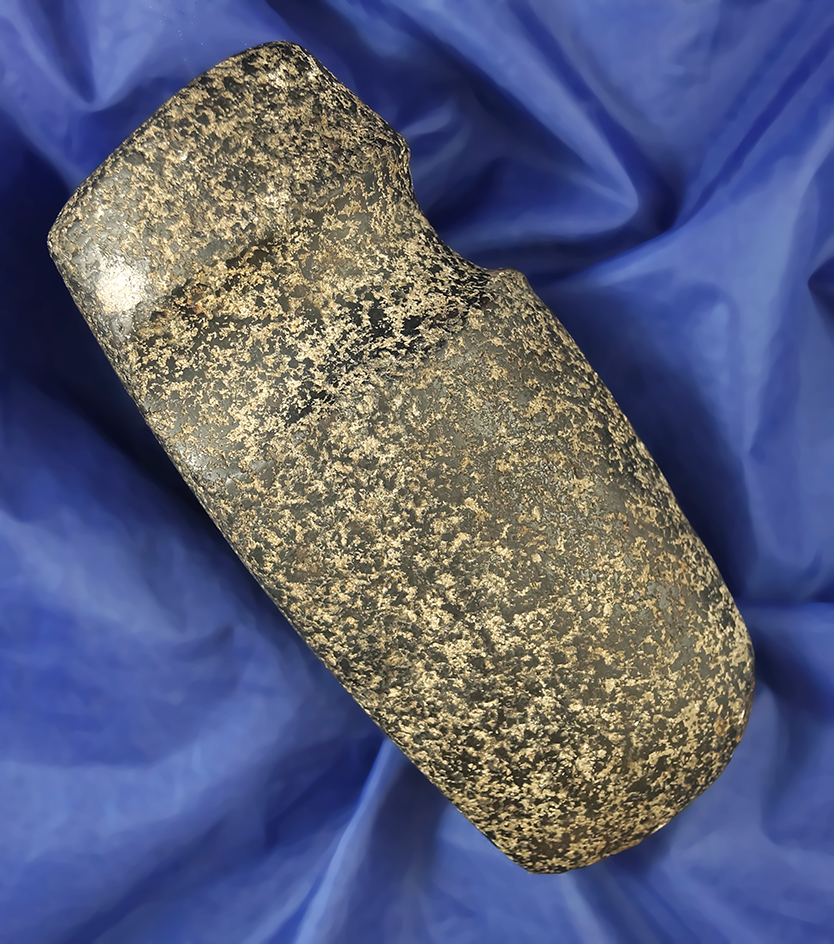 Excellent style and polished on this 7" long 3/4 grooved Axe with one small spot of restoration.