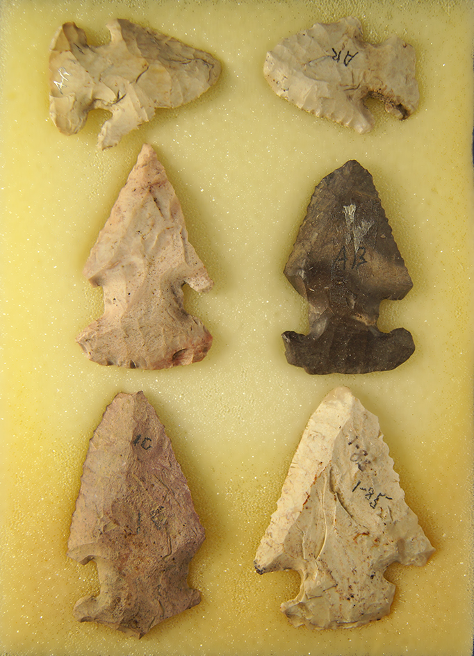 Set of 6 Midwestern Thebes Arrowheads. Largest is 2 1/2".