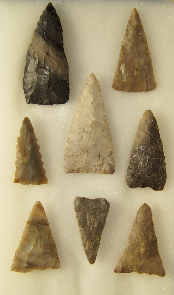Set of 9 Triangular Arrowheads found in Ohio. Largest is 1 15/16".
